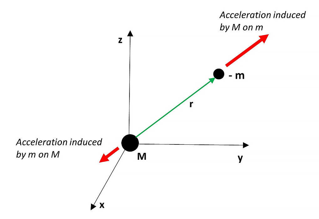 Gravitational forces between positive and negative mass
